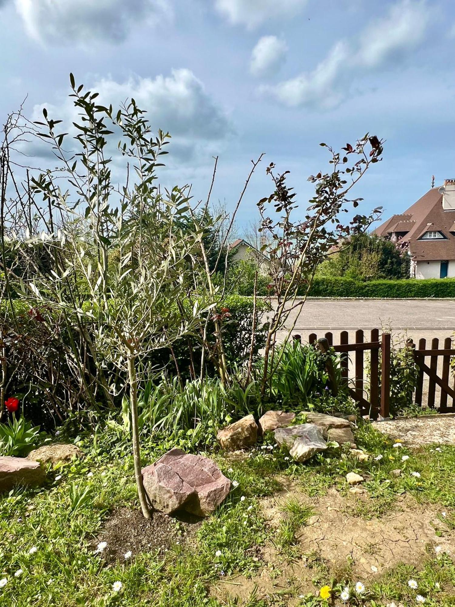 Grand Rez De Jardin-Terrasse Avec Vue Sur La Mer - 2 Chambres Blonville-sur-Mer Bagian luar foto